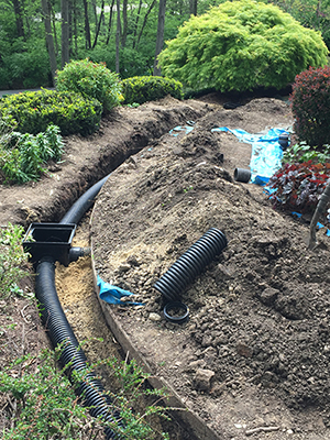 Drainage Solutions University Park