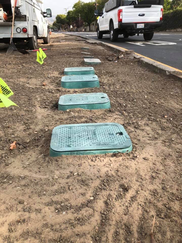 Water-Smart Landscaping for North Texas