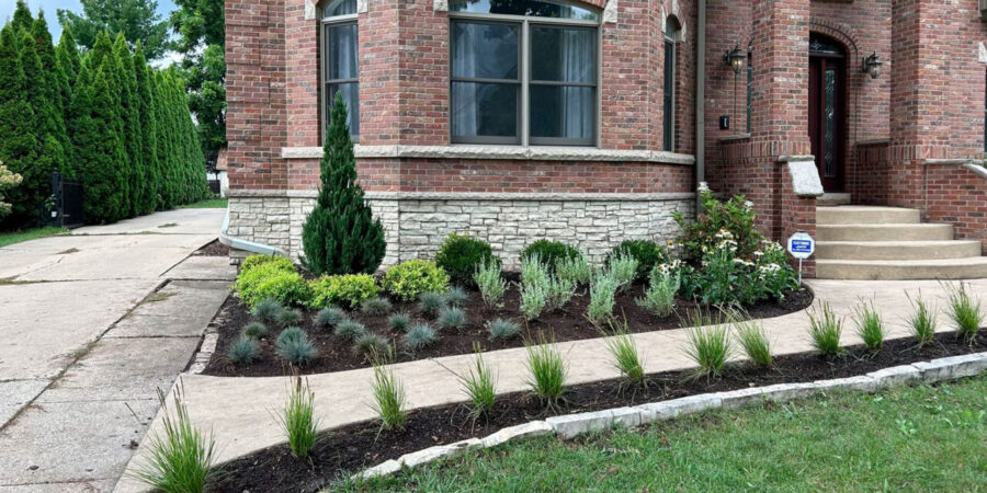 Landscape Cleanups project 5 in University Park